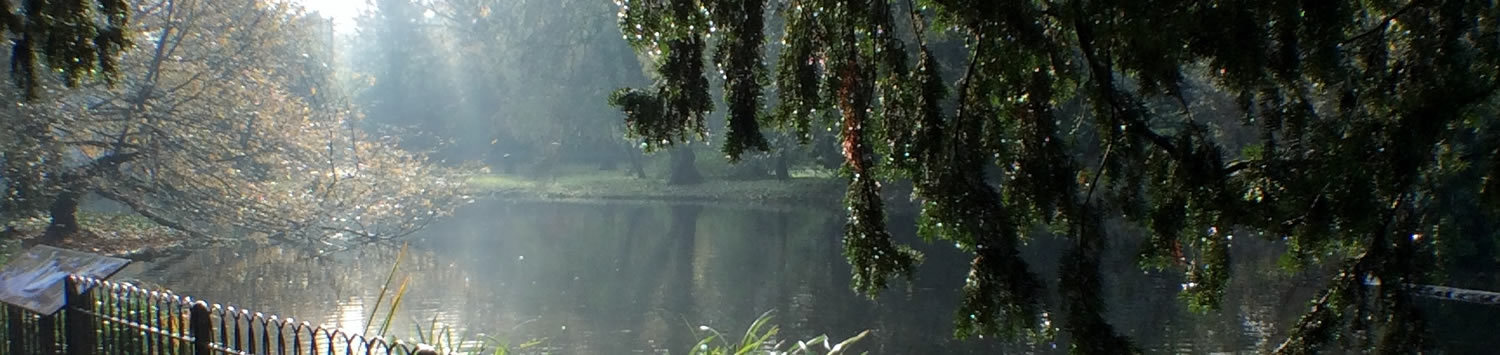 The Lake, Chiswick